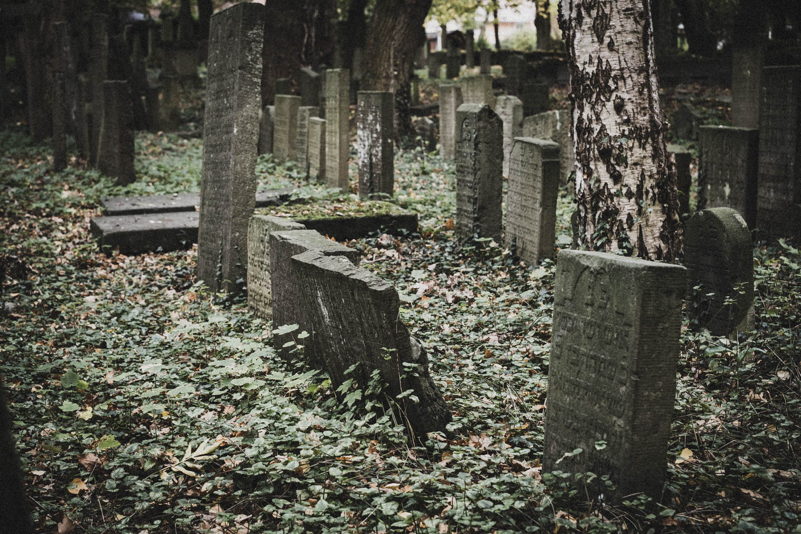 Emden, Jüdischer Friedhof